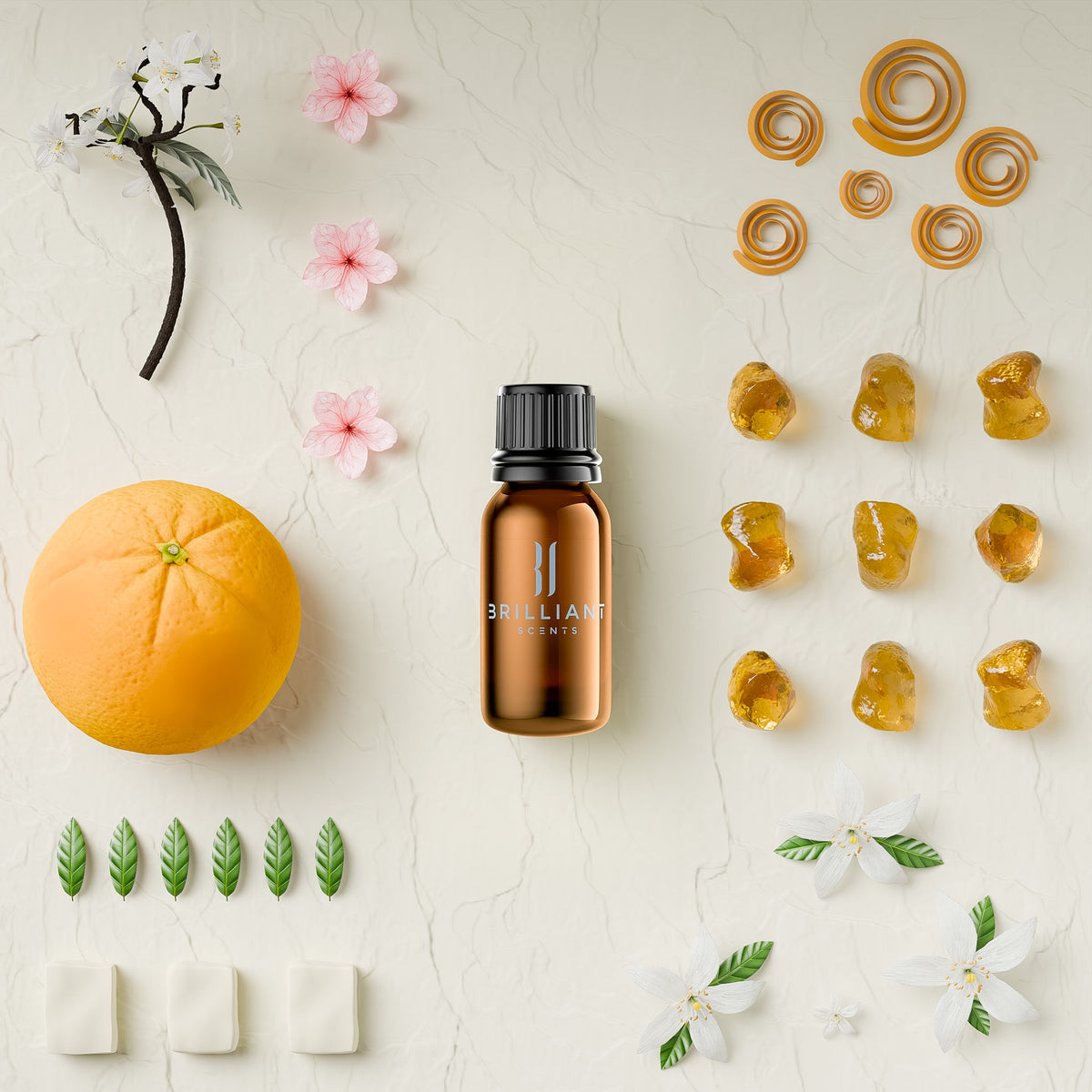 Orange Bloom