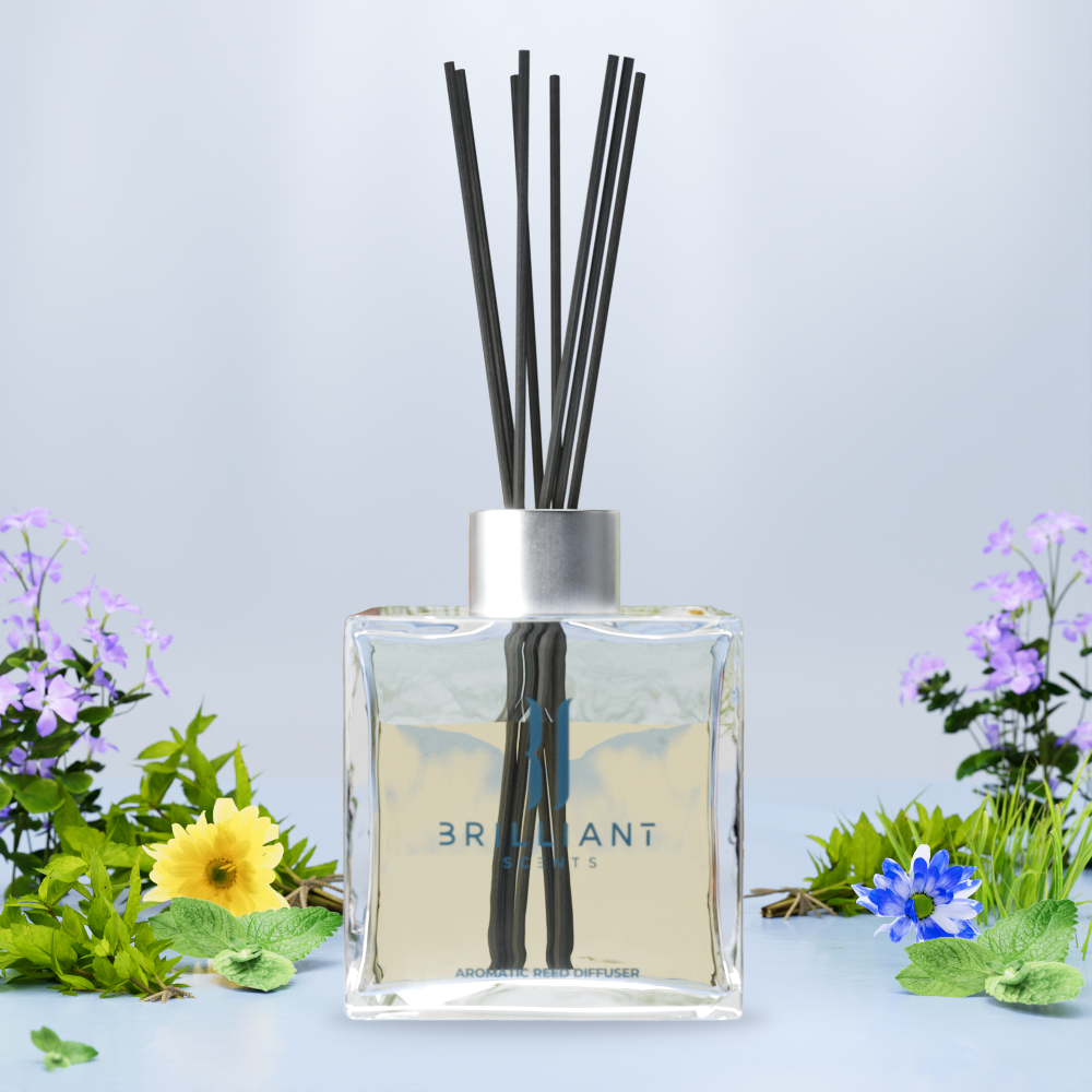 Explorer Reed Diffuser
