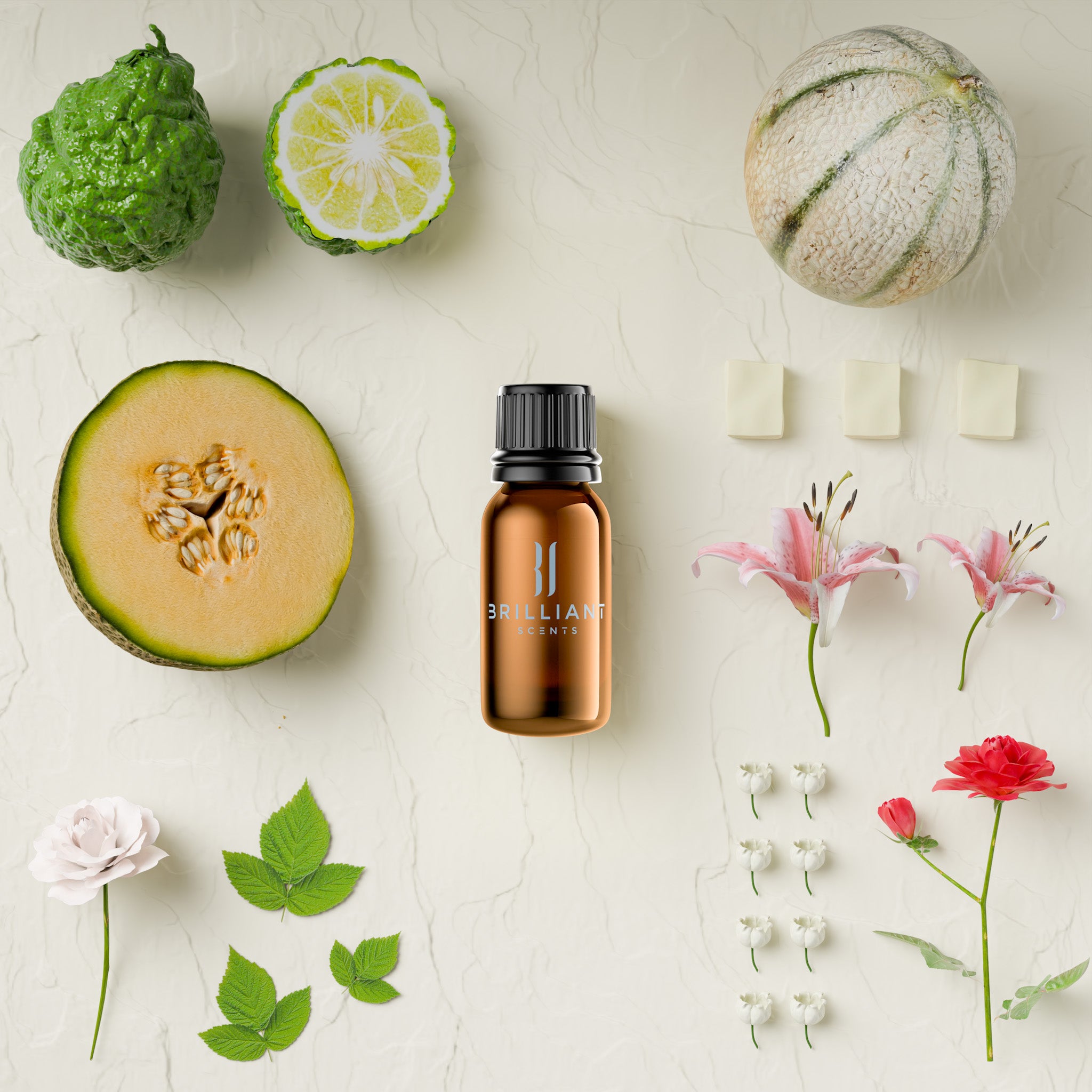 Clover & Aloe Retreat