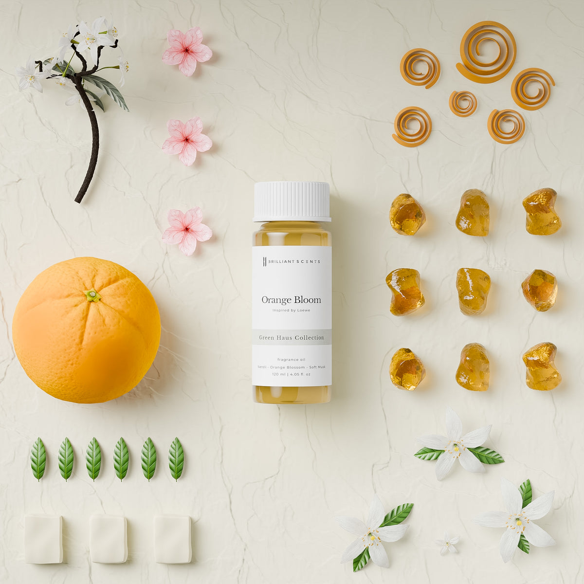 Orange Bloom