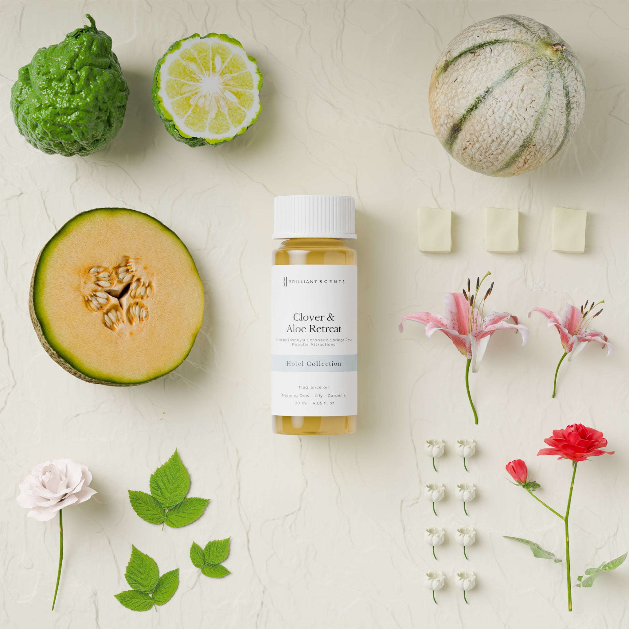 Clover & Aloe Retreat