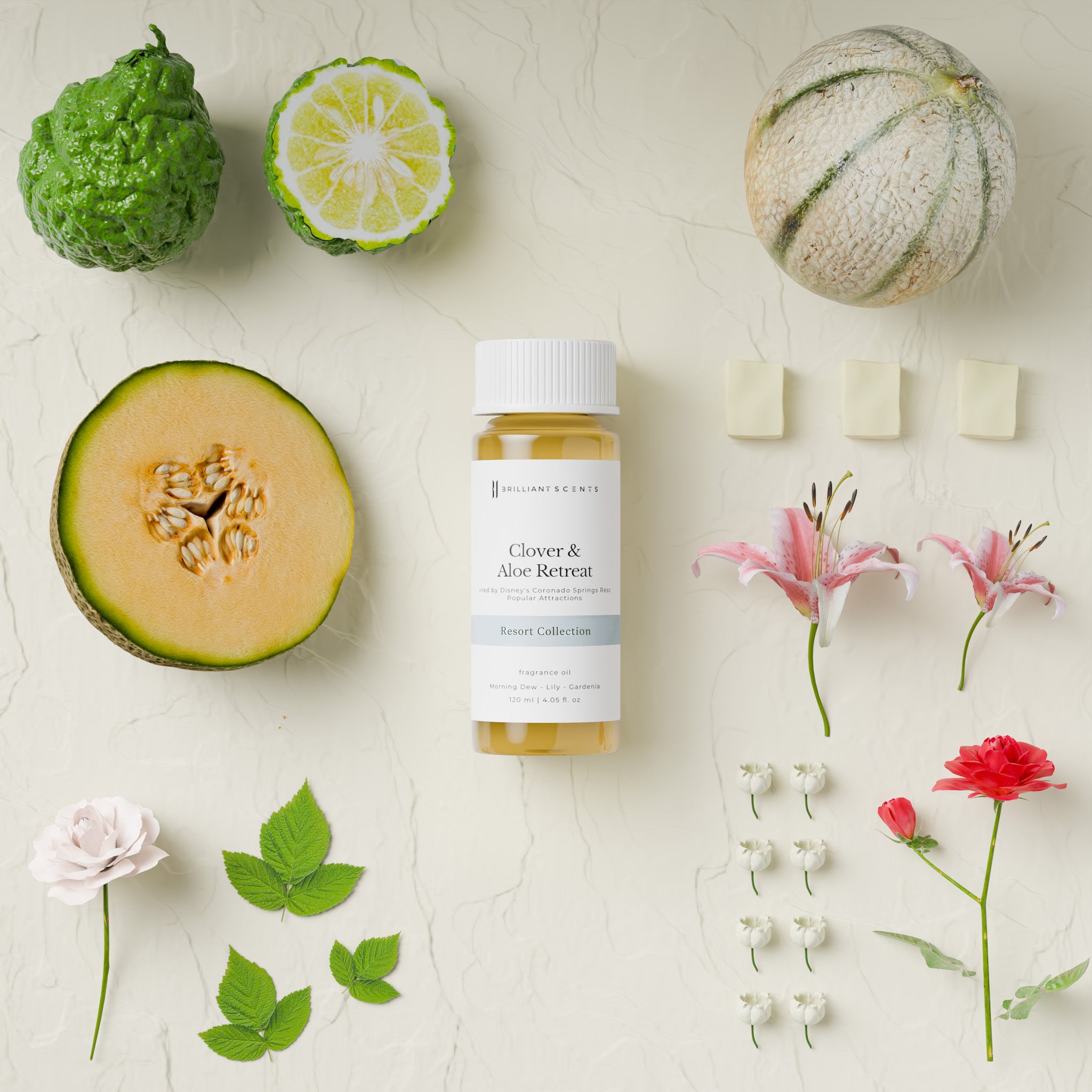 Clover & Aloe Retreat