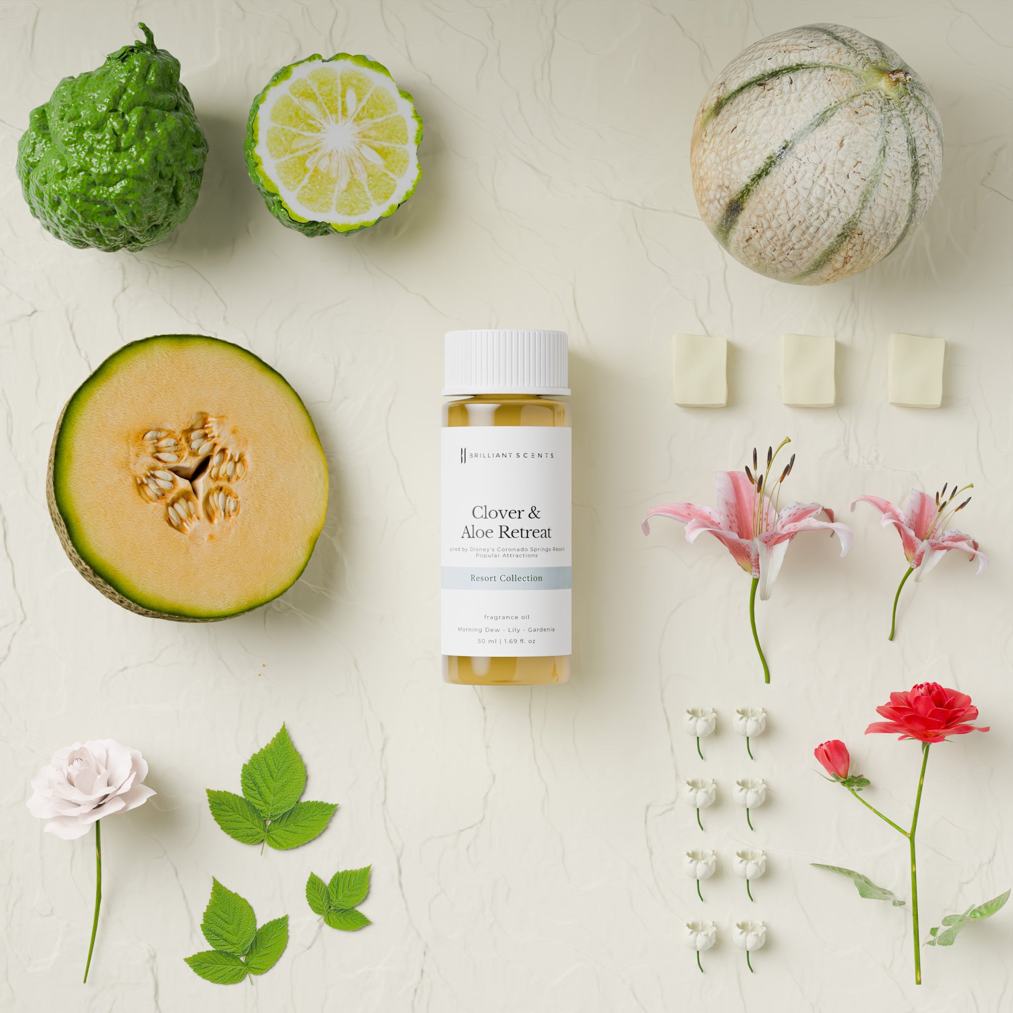 Clover & Aloe Retreat