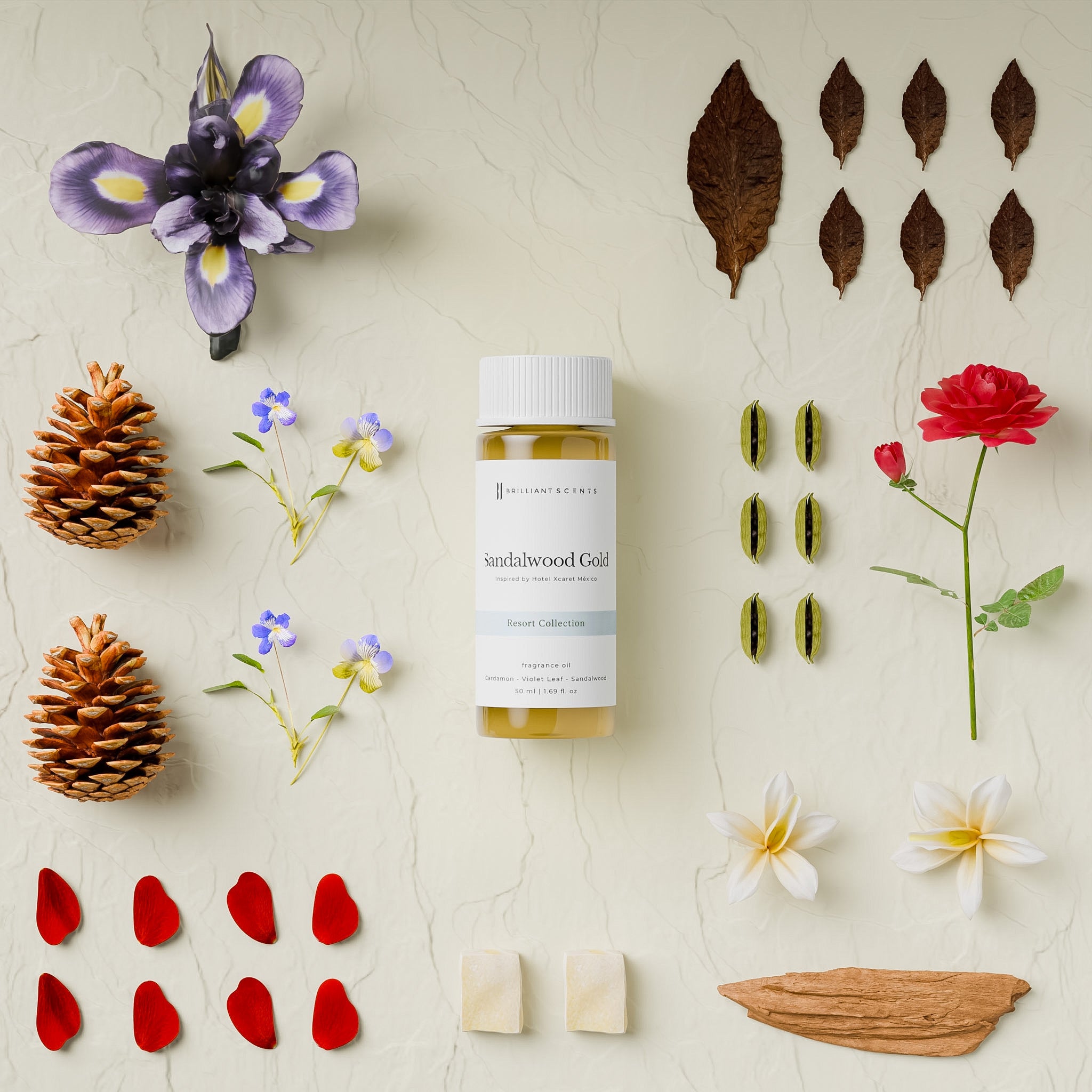 Sandalwood Gold