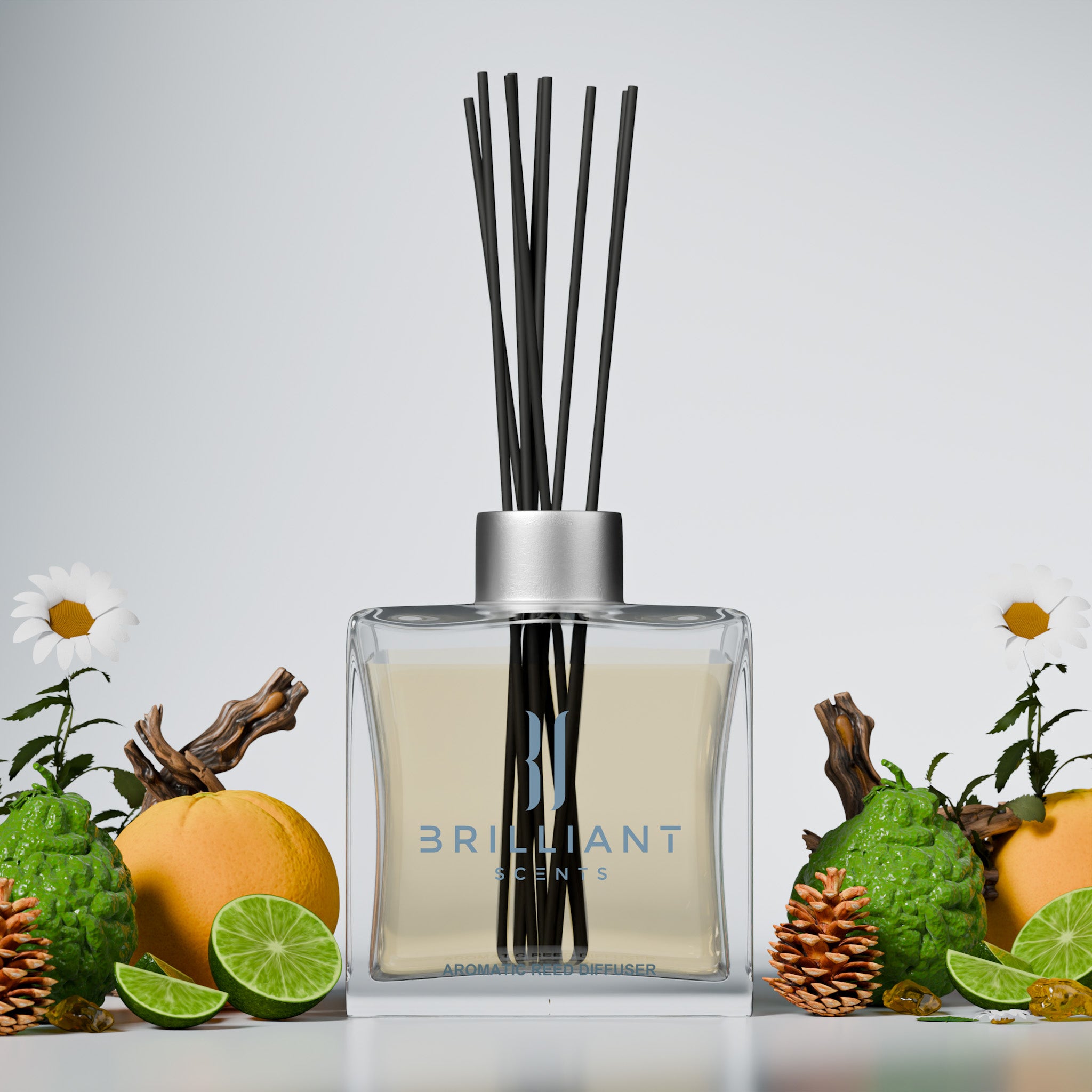 Island Oasis Reed Diffuser