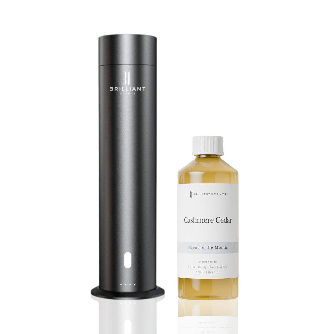 LX500 V2 & Scent of the Month