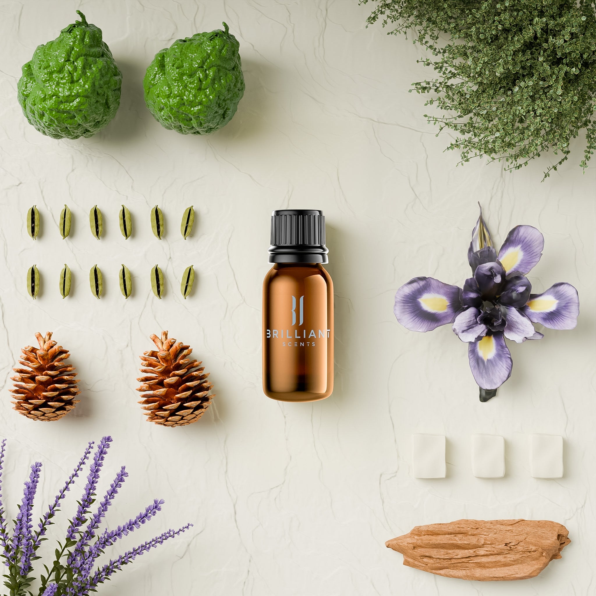Cedar Leaf Lavender