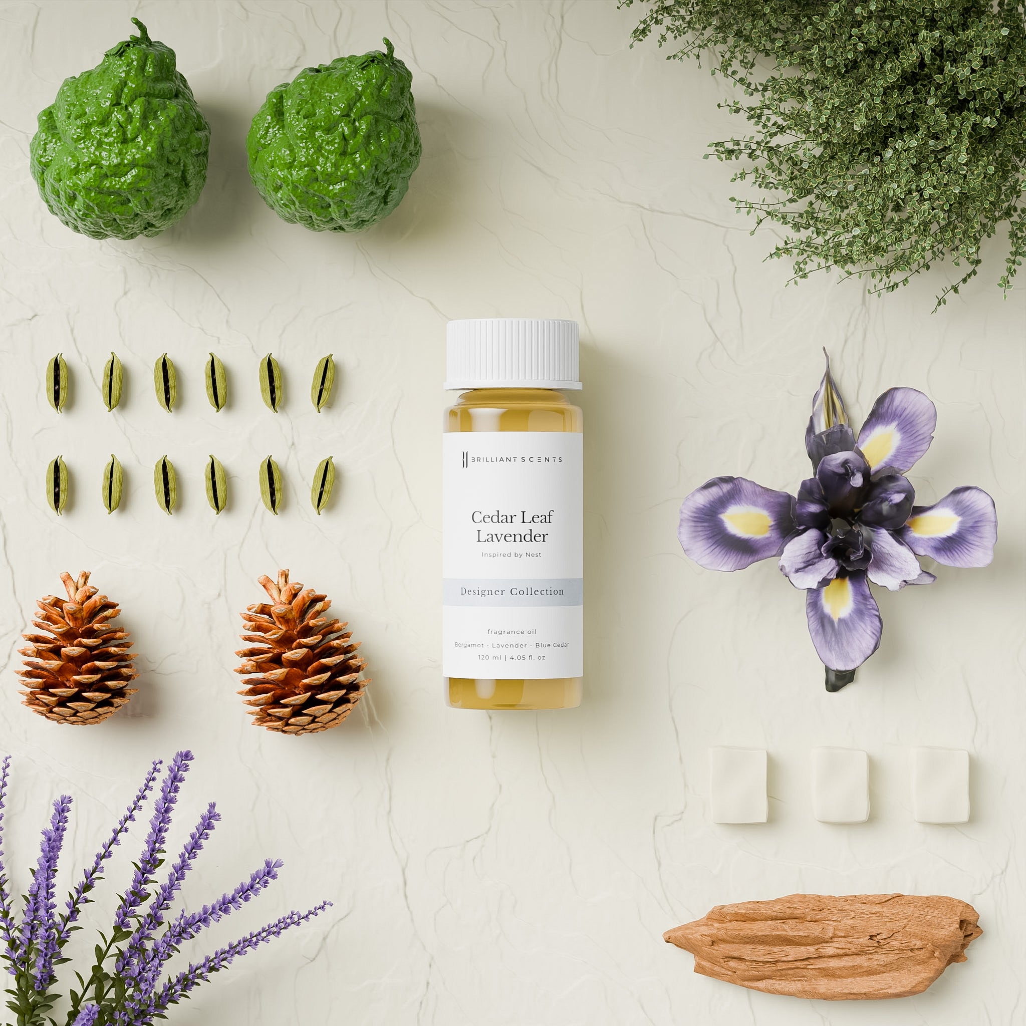 Cedar Leaf Lavender