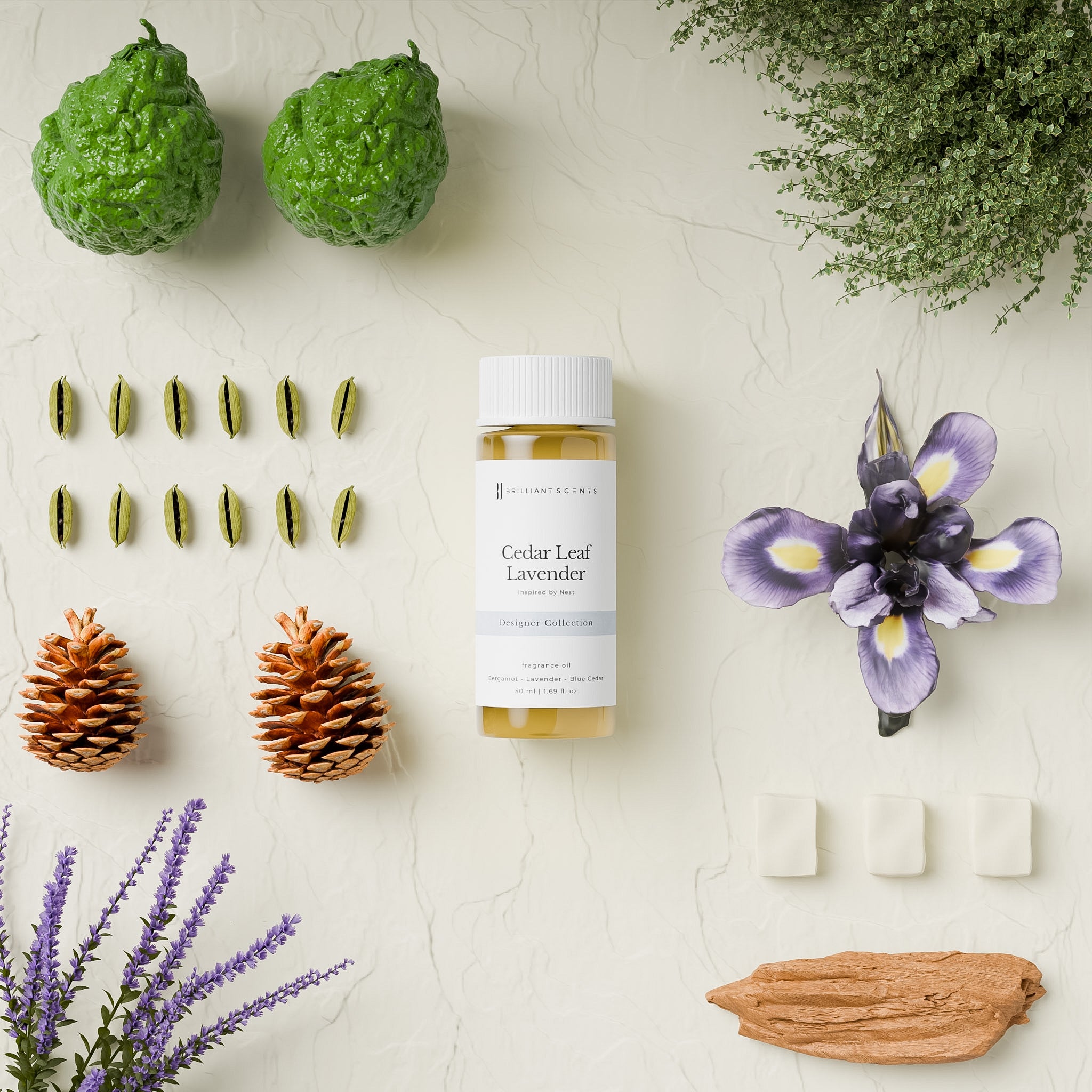 Cedar Leaf Lavender