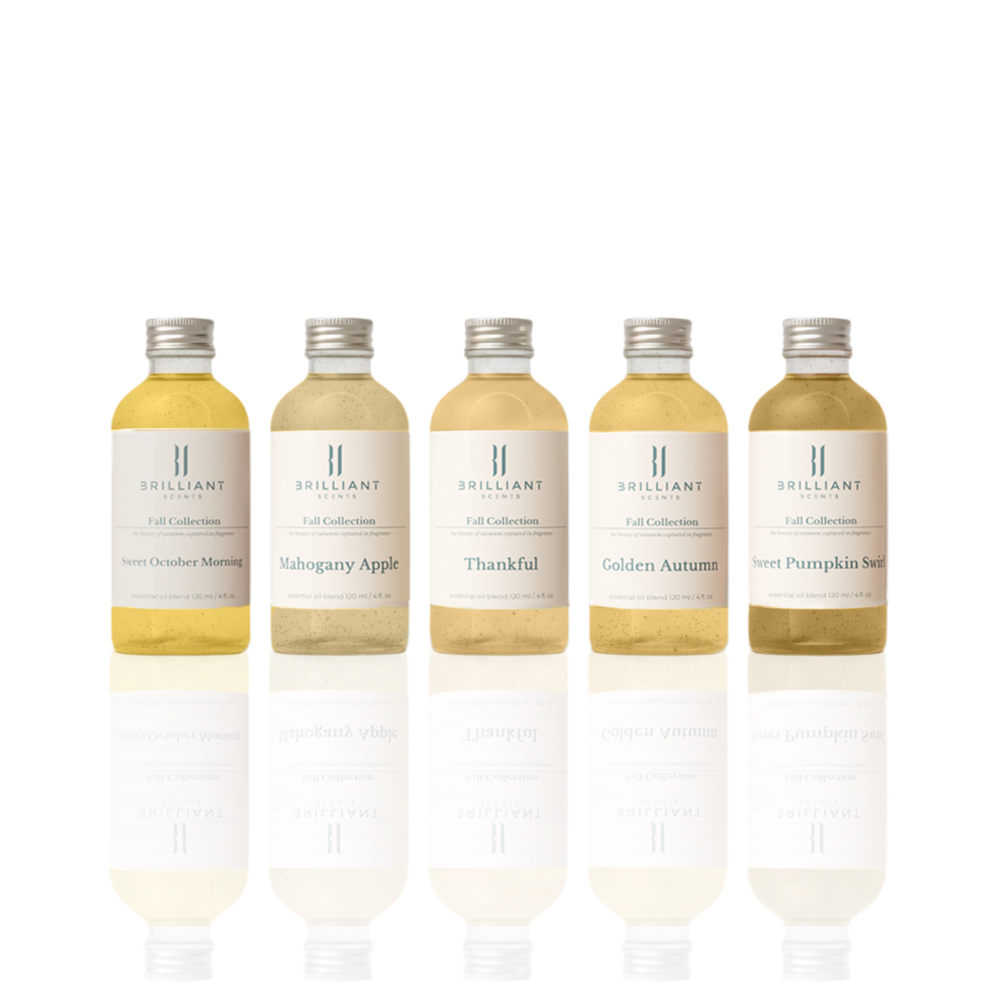 Fall Collection Discovery Set