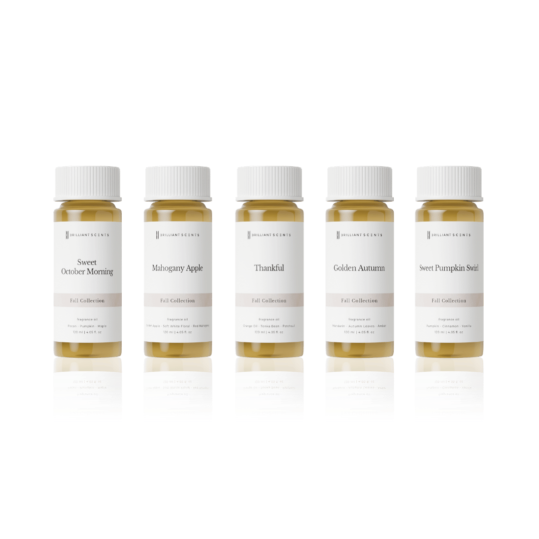 Fall Collection Discovery Set