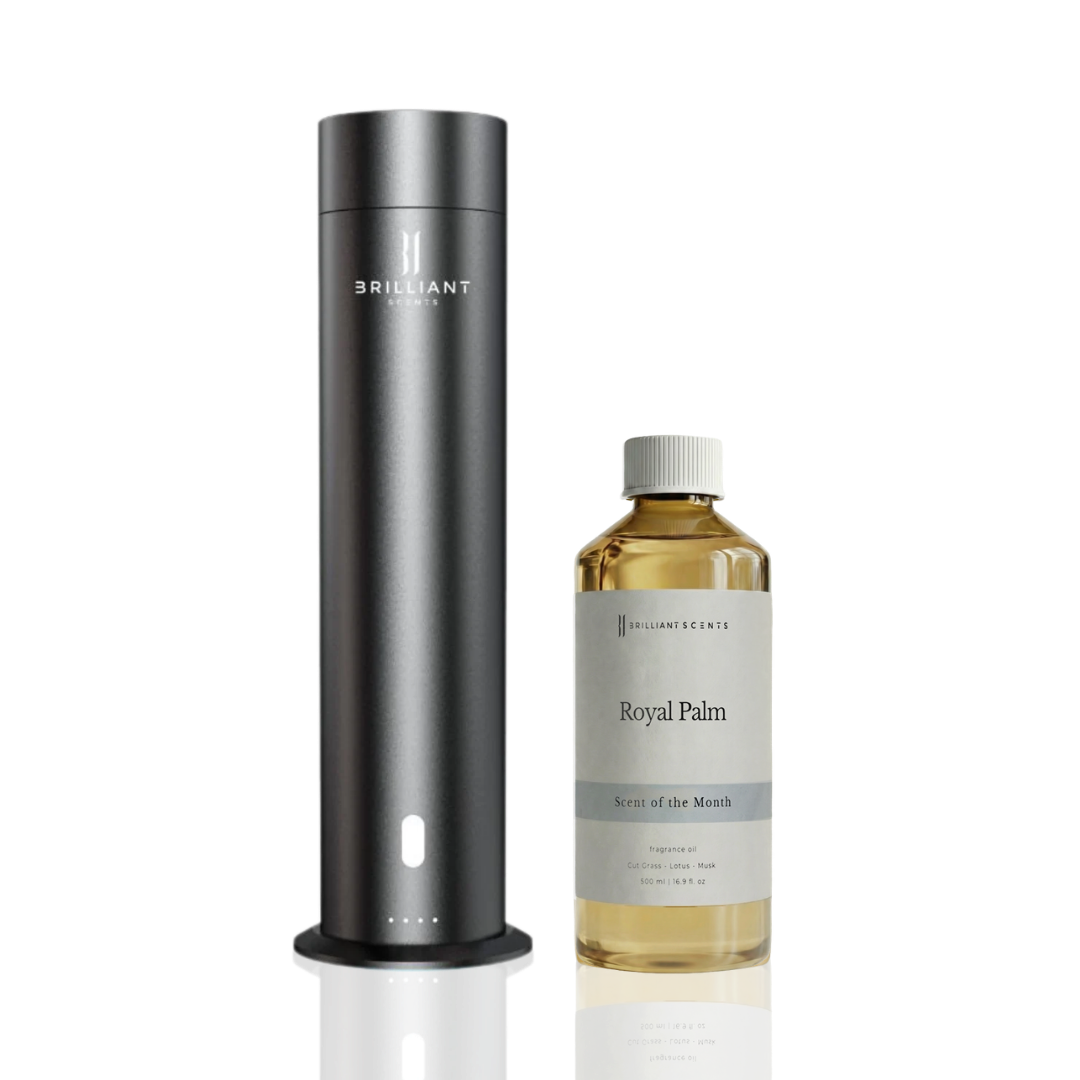 LX500 V2 & Scent of the Month