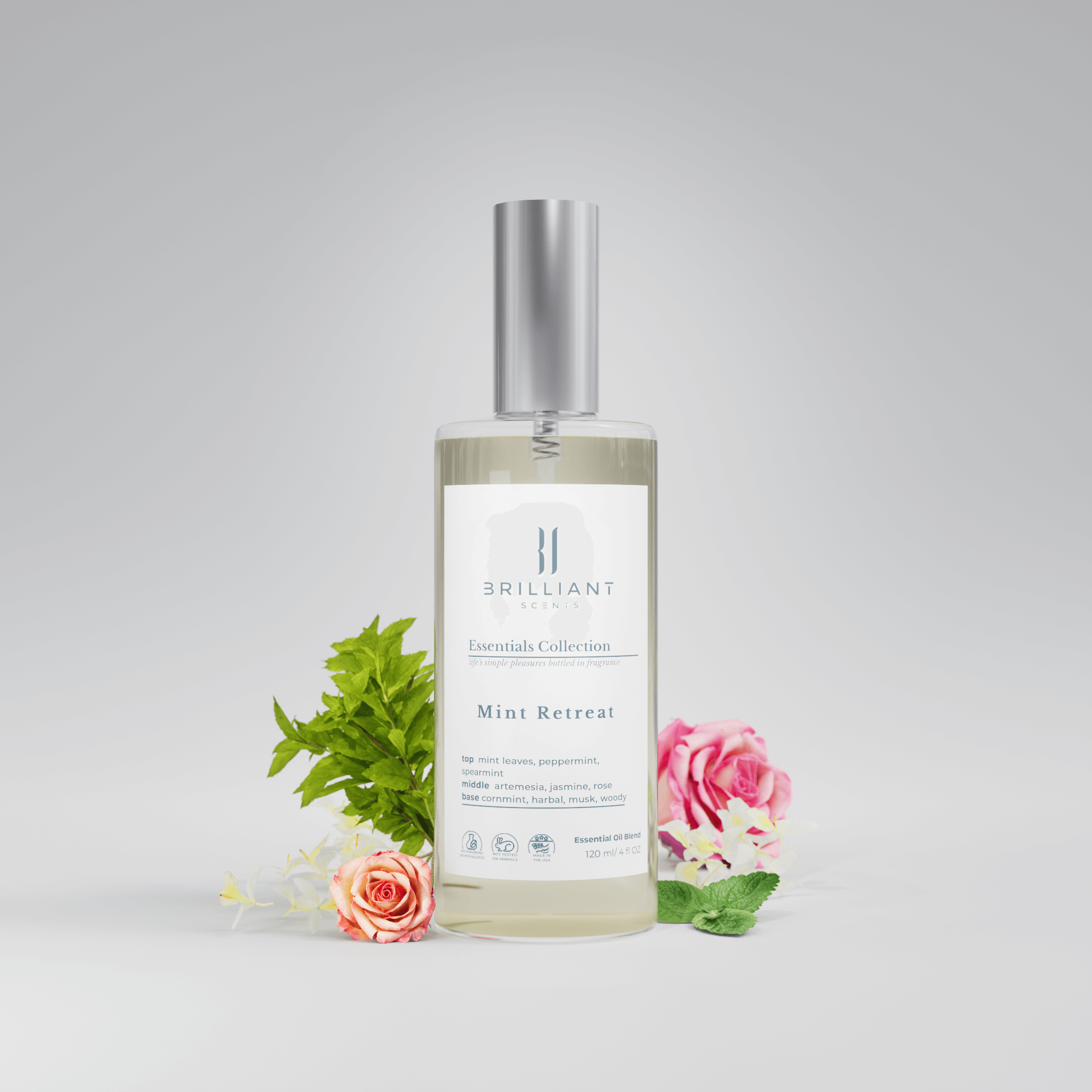 Mint Retreat Room Spray