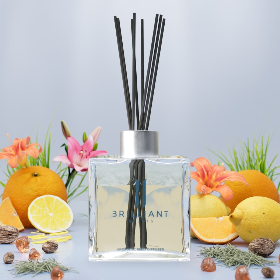 Monte Carlo Reed Diffuser