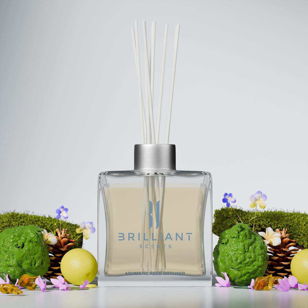 Noel Lumiere Reed Diffuser