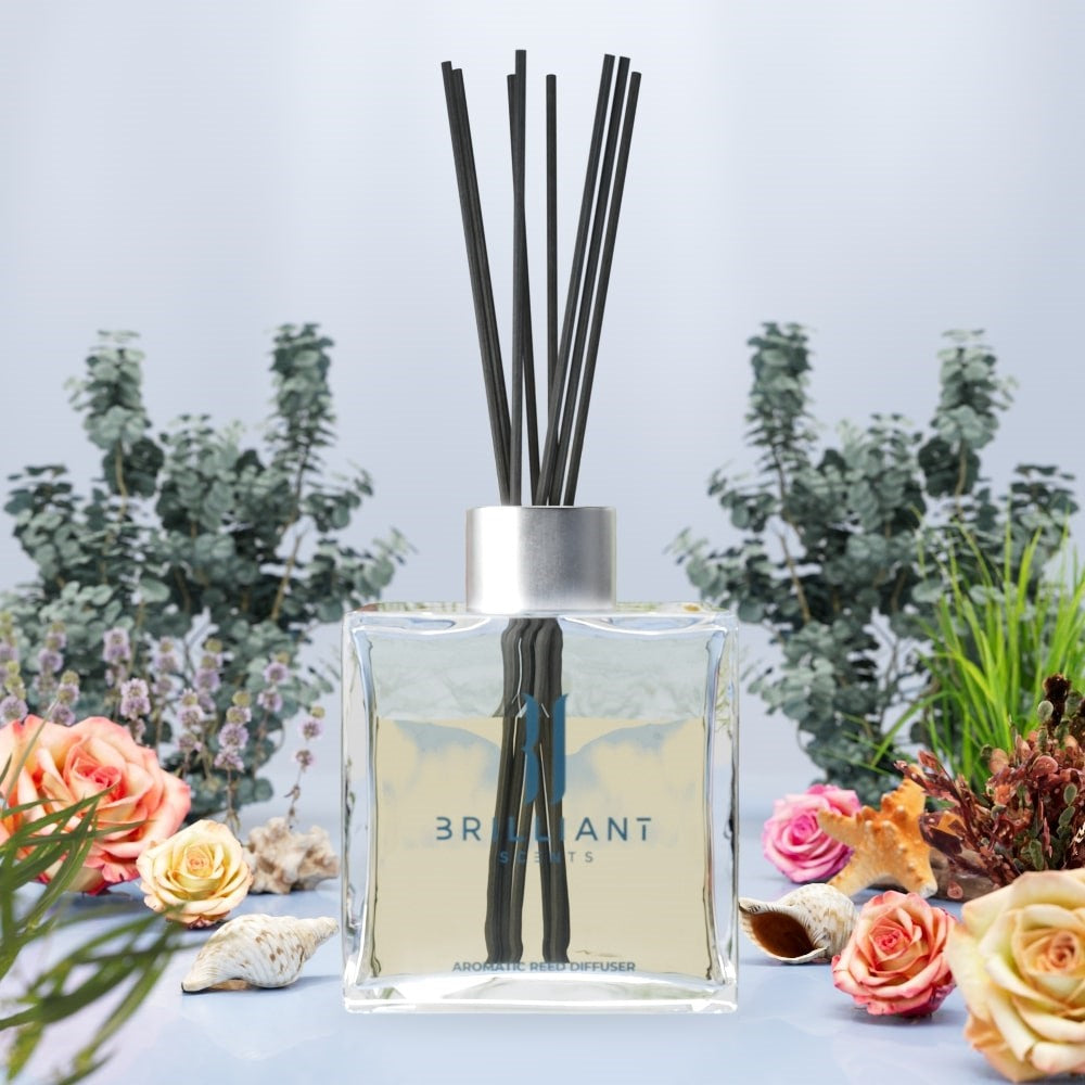 Nautical Dream Reed Diffuser