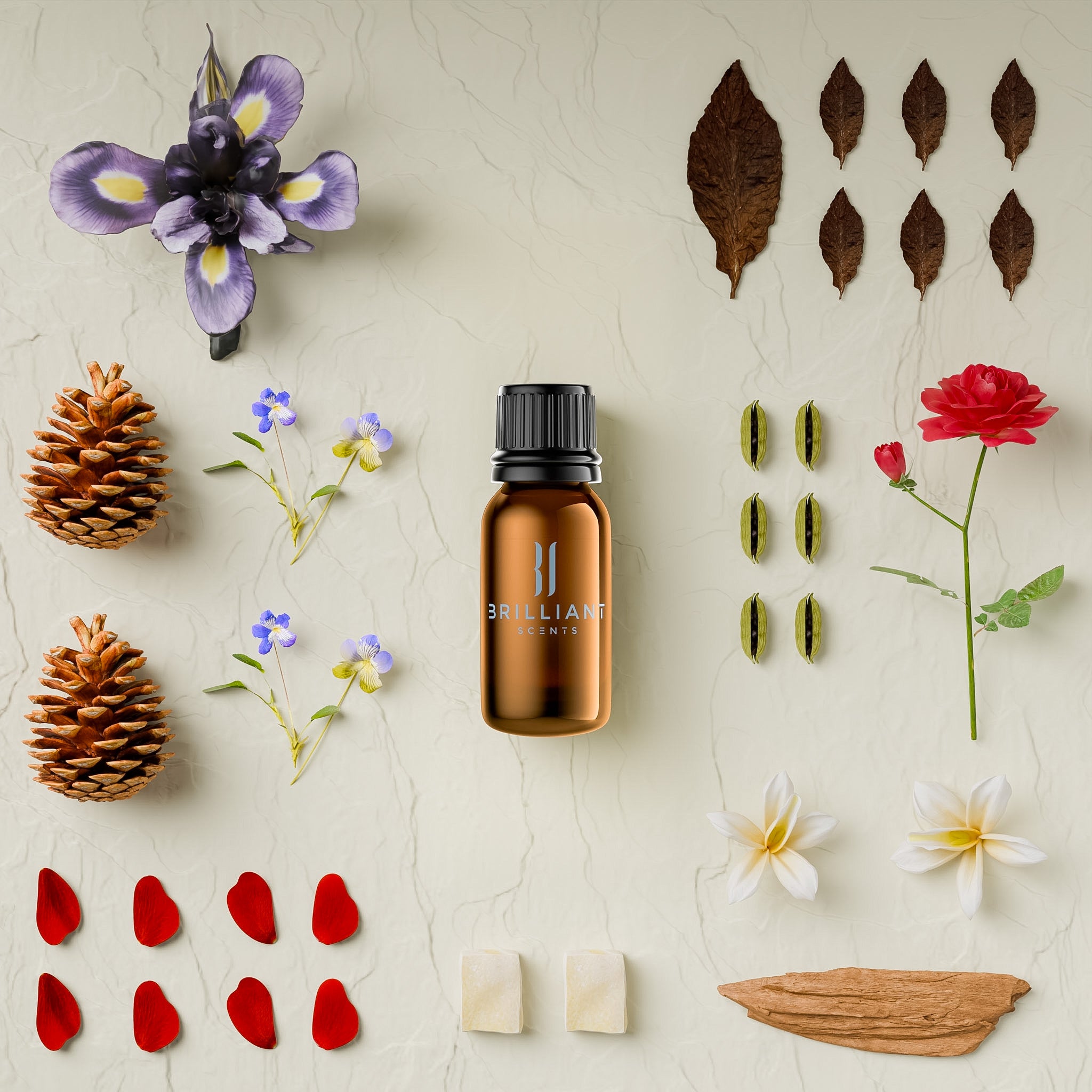 Sandalwood Gold