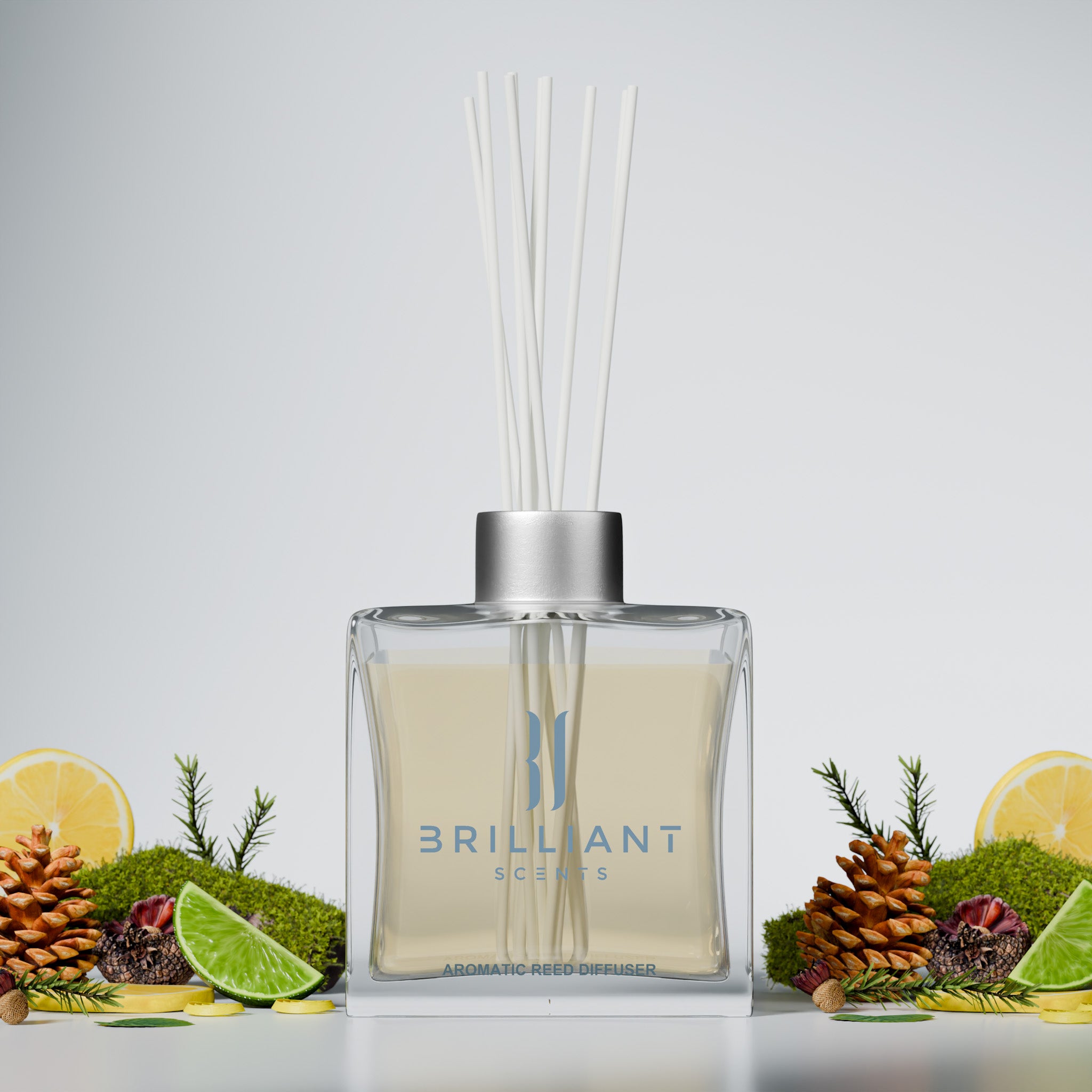 Silver Birch Reed Diffuser
