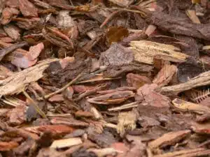 bark mulch Brilliant Scents