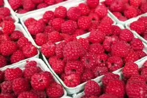 raspberry Brilliant Scents