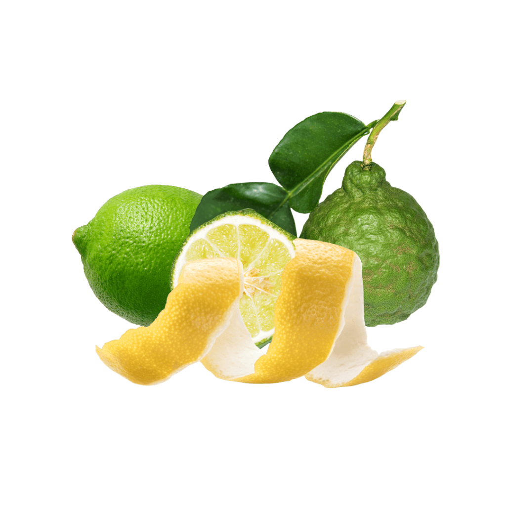 bergamot, lemon peel, soku lime brilliant scents