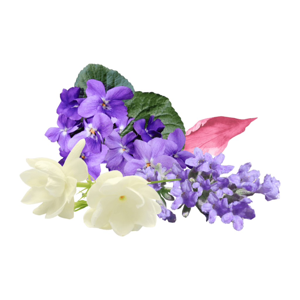 blue lavender peony petals violet leaves white jasmine brilliant scents.png