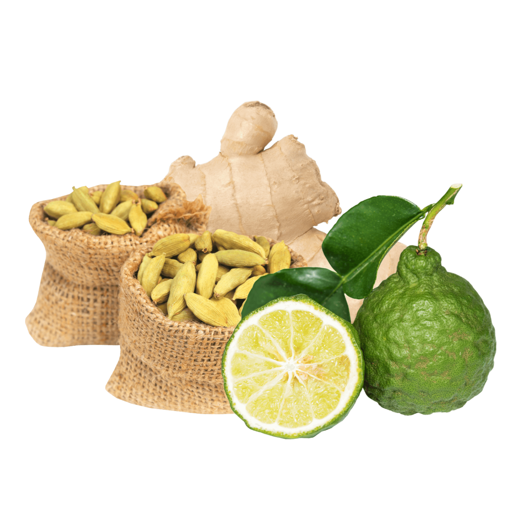 bergamot, cardamom, zesty ginger brilliant scents