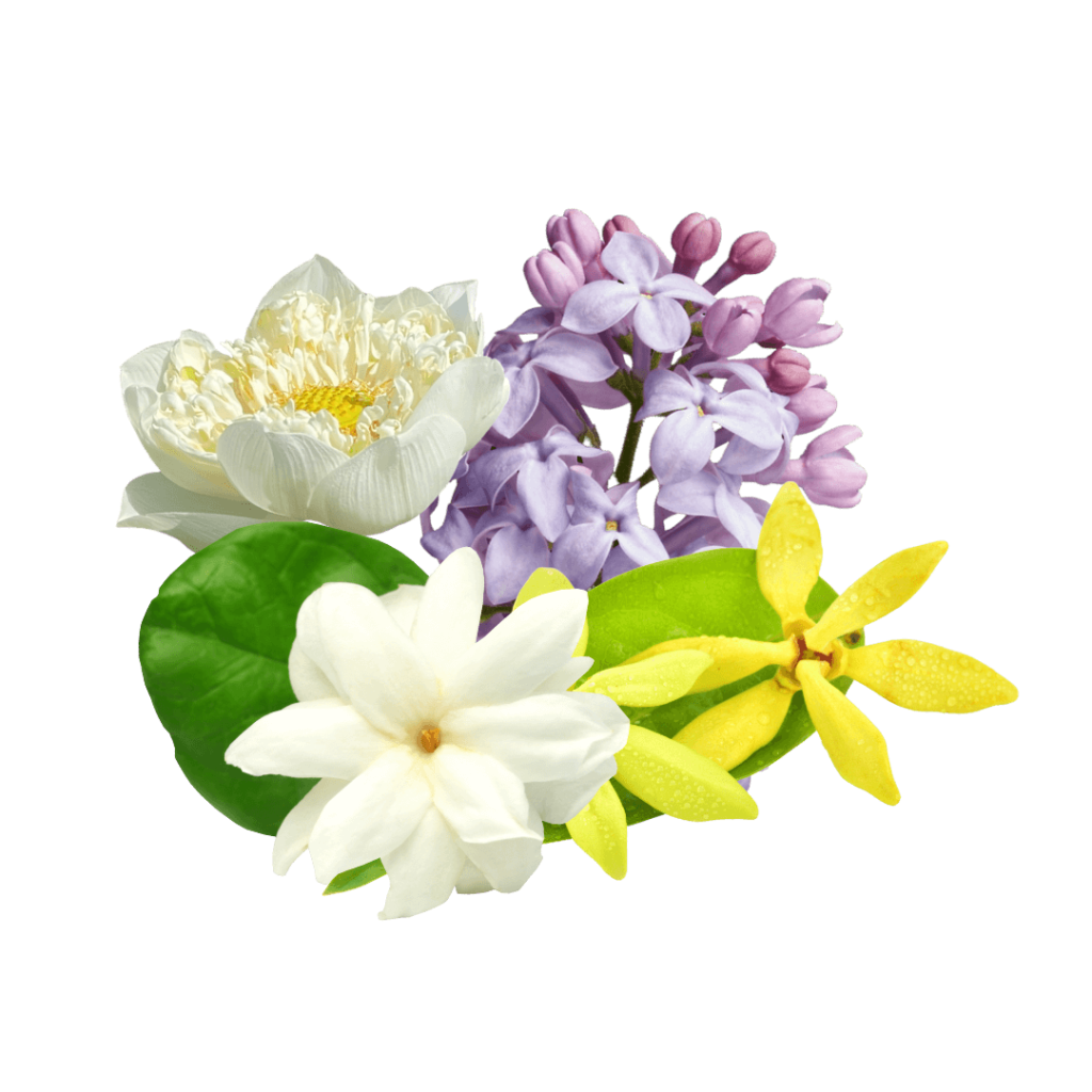 tropical bliss middle note lilac blossom, waterlily, white jasmine, ylang ylang brilliant scents